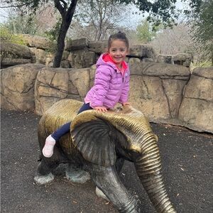 The North Face Reversible Perrito Hooded Jacket 4T